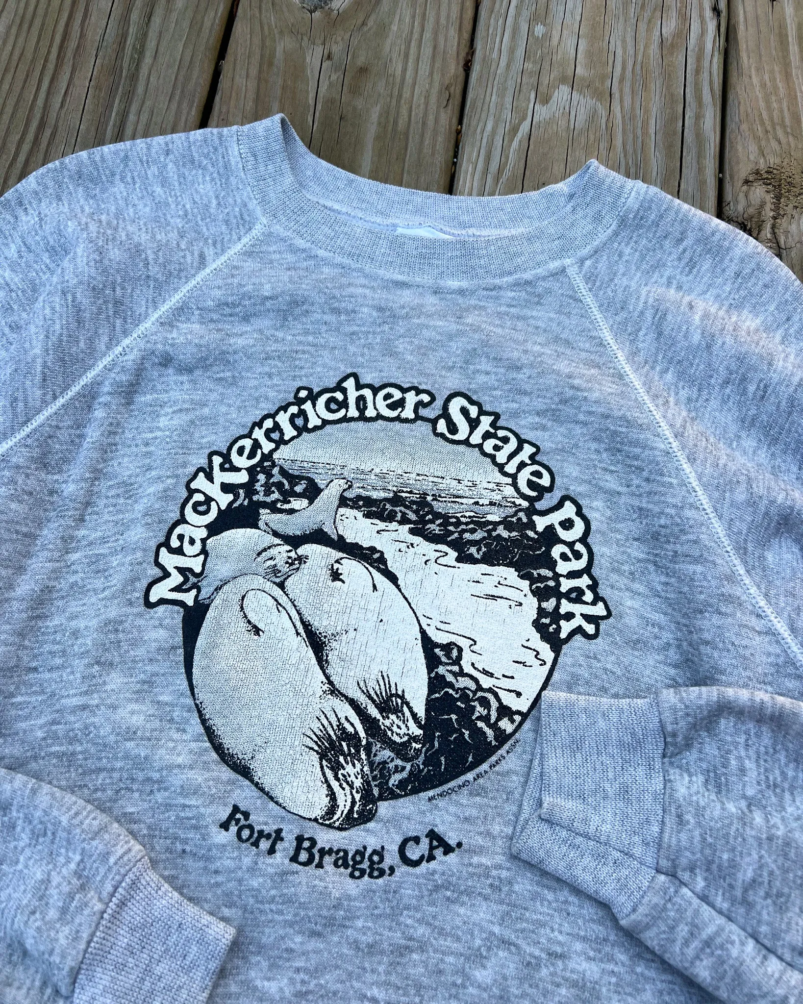 Vintage Mackerricher State Park California Women's Crewneck